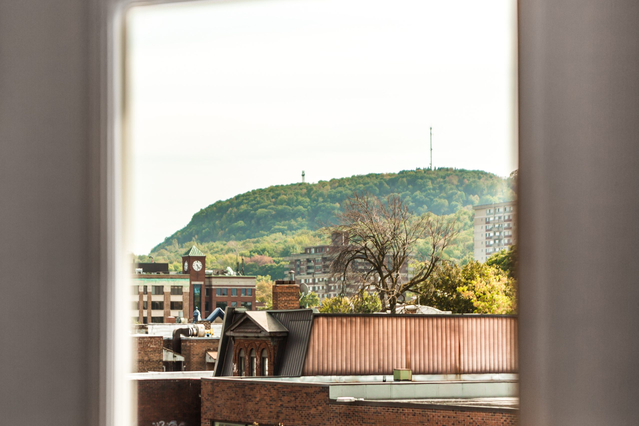 appartement avec vue sur le Mont-Royal