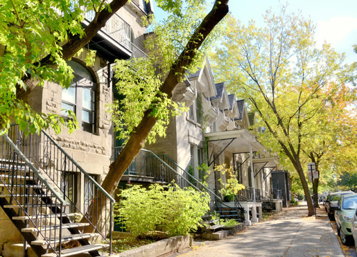 Rue dans l'arrondissement Rosemont-La Petite Patrie